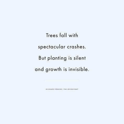 Trees fall with spectacular crashes. But planting is silent and growth is invisible. Quotes On Self Growth, Quotes About Self Growth Inspirational, Love And Growth Quotes, New Year Growth Quotes, A Year Of Growth Quotes, Quotes Self Growth, Year Of Growth Quotes, New Growth Quotes, Metaphorical Quotes