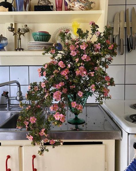 Flower At Home, Kitchen Flowers, Home Sanctuary, Flowers At Home, Instagram Flowers, Vintage Floral Design, Nothing But Flowers, Feel Like Home, Flower Therapy