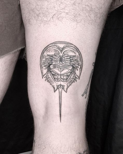 Cool Shaded Tattoos, Horshoe Crab Tatoos, Katy Wiedemann, Horseshoe Crab Tattoo, Hermit Crab Tattoo, Elbow Ditch Tattoo, Over The Knee Tattoo, Philosophy Tattoos, Scientific Tattoo