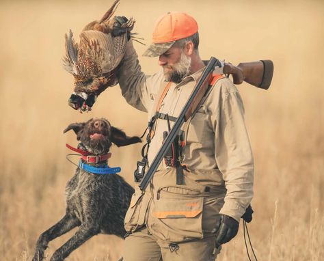 Choosing the Best Length Barrel for Pheasant Hunting - Project Upland Upland Bird Hunting, Upland Hunting, Pheasant Hunting, Bird Hunting, Hunting Trip, Pheasant, Choose The Right, Barrel, Hunting