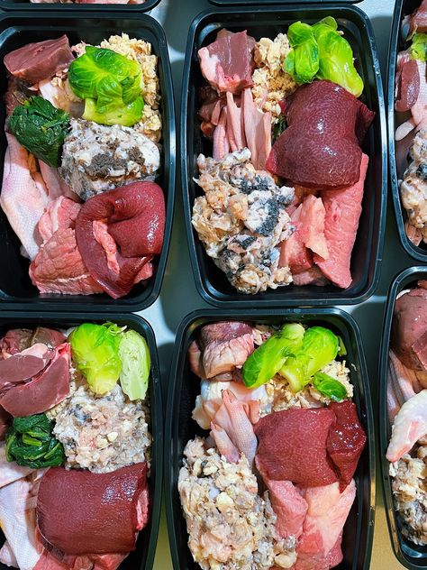 Dog Meal Prep, Food Recipes Meal Prep, Raw Cat Food Diet, Dog Meals, Dog Raw Diet, Recipes Meal Prep, Raw Dog Food Diet, Beef Tripe, Dog Treats Homemade Easy