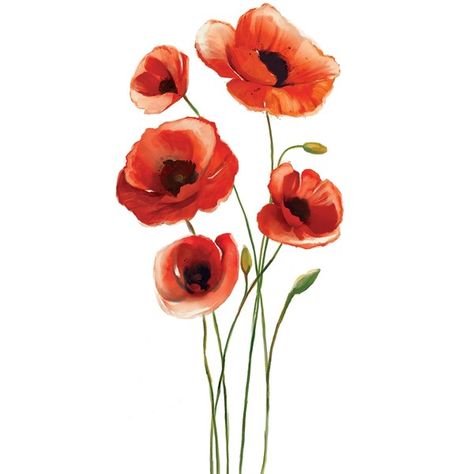 Red Poppies Wall Decal ($20) ❤ liked on Polyvore featuring home, home decor, wall art, flowers, backgrounds, red flower wall art, flower wall art, poppy flower wall decals, flower decals and poppy wall art Red Flowers Drawing, Red Flower Drawing, Water Colour Poppy Tattoo, Red Poppy Drawing, Poppies Wall Art, Poppy Background, Red Poppy Flower Drawing, Poppy Flower Painting Watercolour, Poppy Flower Drawing