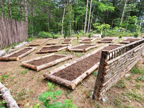 Natural Raised Garden Beds, Rustic Vegetable Garden, Log Raised Garden Beds, Log Garden Bed, Raised Pallet Garden, Pallet Garden Bed, Log Garden, Pallet Planters, Fenced Vegetable Garden