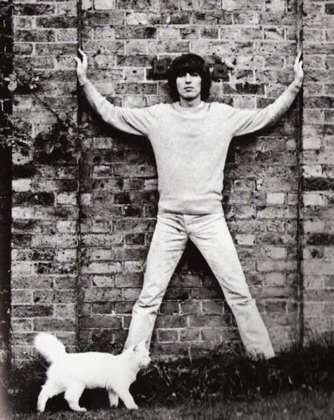 George Harrison George Beatles, Celebrities With Cats, Beatles George, Joe Cocker, Beatles John, The Fab Four, Jack Nicholson, I'm With The Band, Martin Scorsese