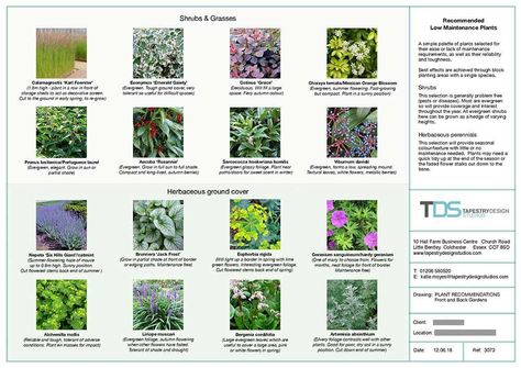 Planting Plan and Plant Schedule - TDS Plant Schedule, Planting Design Plan, Planting Schedule, Planting Plan, Design Studios, Plant Design, Types Of Plants, Design Planning, Tapestry Design