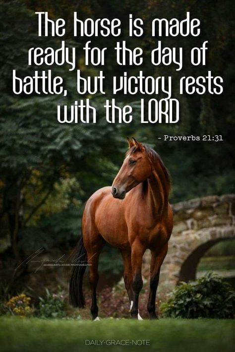 Proverbs 21:31 Horses, Deliverance Quotes, Proverbs 21 31, Biblical Pictures, Jewish Mysticism, Equestrian Quotes, Proverbs 21, Daily Grace, Bible Verse Background