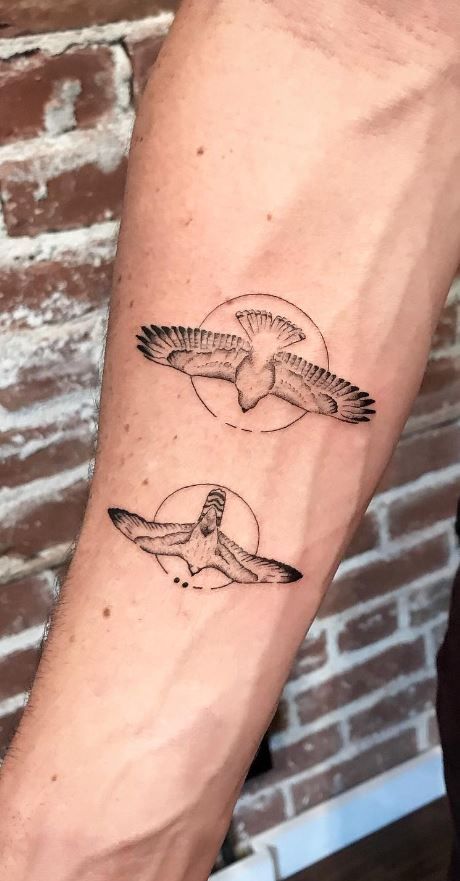 Hawk Tatoos, Bird Of Prey Tattoo, Bird Tattoo Sleeves, Falcon Tattoo, Parrot Tattoo, Science Tattoos, Artsy Tattoos, Hawk Tattoo, Floral Tattoo Shoulder