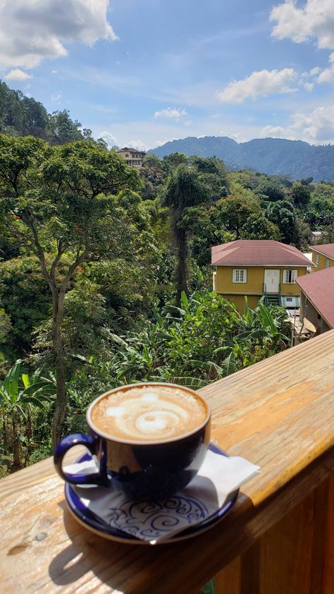 Lakshmi Narsimha, Blue Mountain Coffee, New Nature Wallpaper, Happy Evening, Mountain Coffee, Coffee Pictures, Green Coffee Bean, Instagram Ideas Post, Coffee Photography