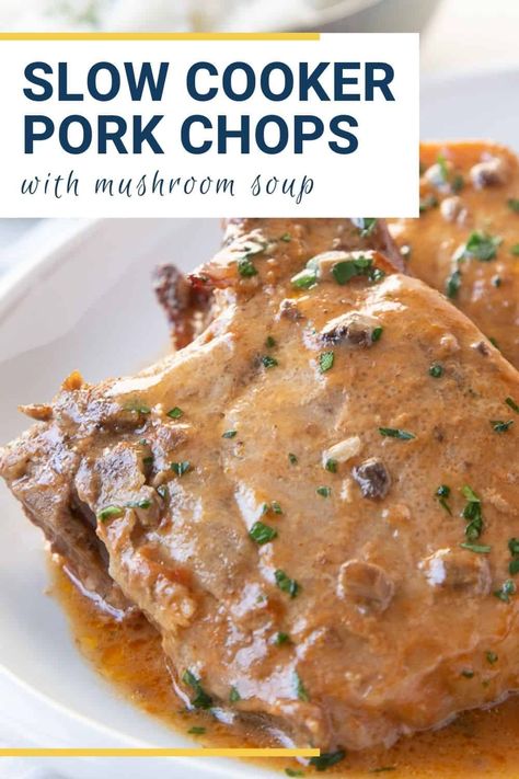 Slow Cook Pork Chops, Mushroom Soup Pork Chops, Slow Cooker Pork Chops Recipes, Pork Crockpot Recipes, Pork Chop Recipes Crockpot, Slow Cooker Recipes Pork, Mushroom Pork Chops, Tender Pork Chops, Easy Pork Chops