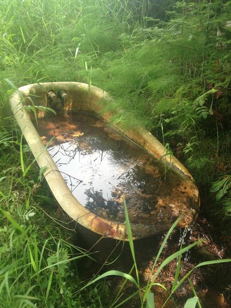 Abandoned Bathtub in the Woods of Northern Wisconsin  #abandoned #bathtub #woods #northern #wisconsin #photography Desert Places, Northern Wisconsin, Beautiful Ruins, Dark Paradise, Ap Art, Art Prompts, High Art, Abandoned Buildings, Bathtubs