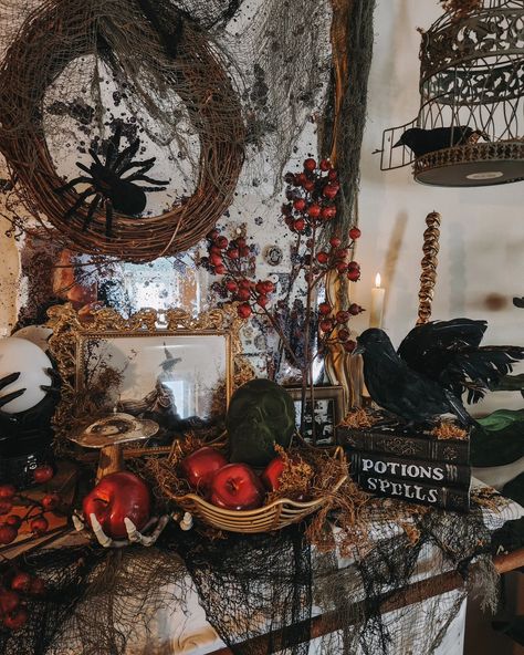 Transforming my mantel for Halloween always seems like a big task, especially when you're working with a small space and a tight budget.💀 It can be overwhelming trying to find the balance between spooky and stylish without going overboard. 🖤🕸🕷 But this year, I embraced the challenge by using a few key statement pieces like the spider wreath, crystal ball 🔮, and a vintage witch photo to create a focal point. Adding affordable accents like berries, apples, and some DIY cobwebs brought it all t... Diy Cobwebs, Vintage Witch Photos, Spider Wreath, Witch Vintage, Witch Photos, Vintage Witch, The Spider, The Balance, The Challenge