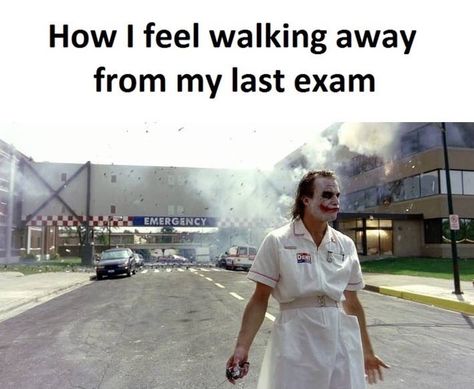 Exam Funny, Study Memes, Exam Memes, Exams Memes, Last Exam, Funny School Pictures, Studying Memes, Exams Funny, College Memes