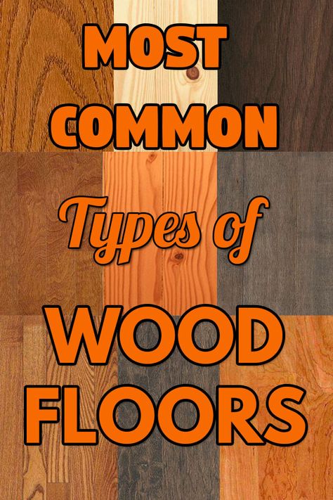 A list of the ten most common types of wood used for wood floors. These are all hardwoods grown in the United States, except for Bamboo. Oak flooring is the most common type of hardwood in the US. When shopping for a hardwood floor be informed of your options, the pros and cons of each and what to look for. Type Of Wood Floors, Hardwood Floor Patterns, Honey Wood Floors, Tigerwood Flooring, Types Of Hardwood Floors, Bamboo Wood Flooring, Wood Floor Colors, Refinish Wood Floors, Warm Wood Flooring