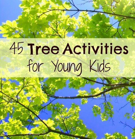 Tree Activities for Kids ~ huge collection of ideas all about trees.  Crafts, activities, games, science... National Tree Day Activities For Kids, Tree Activities For Kids, Math And Science Activities, Tree Activities, Kids Tree, Trees For Kids, Kinesthetic Learning, Preschool Rooms, Tree Theme