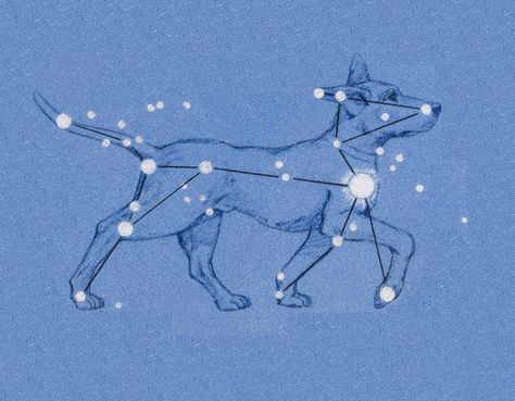 Canis Major, The Dog Star, Pisces Constellation, Constellation Tattoos, Star Constellations, Zodiac Constellations, Sirius Black, Star Sky, Dogs And Cats