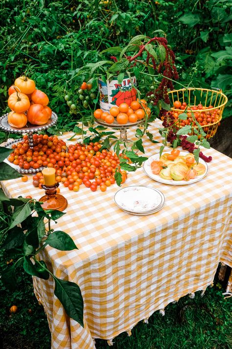 A tomato party styled shoot for a small batch farm to table woman chef Tomato Theme Party, Tomato Tablescape, Tomato Party, Fruit Table, Tomato Girl, Italian Dinner Party, Regional Food, Dinner Table Setting, Italian Dinner