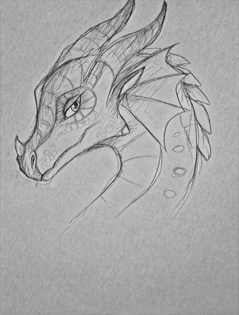 #bon #coup #crauyon #dessiner #drawing Ideas Pencil 38A Dragon Head Drawing, Dragon Drawings, Fire Drawing, Wings Of Fire Dragons, Dragon Sketch, Drawing Heads, Creature Drawings, Wings Of Fire, Dragon Head