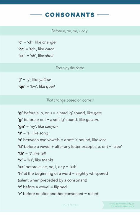 Latin Language Learning, Learning Latin, Learn Latin, Latin Grammar, Languages Learning, Teaching Vowels, Teaching Latin, Italian Pronunciation, French Pronunciation