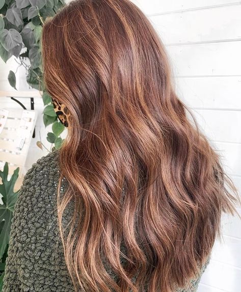 Red Blonde Brunette Balayage, Subtle Balayage Auburn Hair, Mushroom Red Hair Color, Copper Gold Highlights On Brown Hair, Subtle Highlights For Auburn Hair, Copper Low Lights For Brown Hair, Subtle Auburn Balayage, Soft Copper Balayage, Copper Balayage On Light Brown Hair