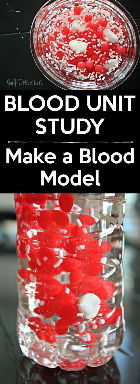 Kids will love learning about the components of blood with this fun and memorable activity - make a blood model! Life Science Experiments, Life Science Projects, Life Science Activities, Human Body Science, Human Body Activities, Love Learning, Science Activities For Kids, Unit Studies, Science Curriculum