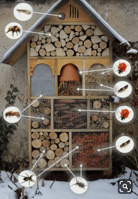 Butterfly Garden Plants, Bee Houses, Childrens Gardening, Butterfly Habitat, Backyard Chicken Coop Plans, Bee Hotel, Wooden Garden Benches, Bug Hotel, Insect Hotel