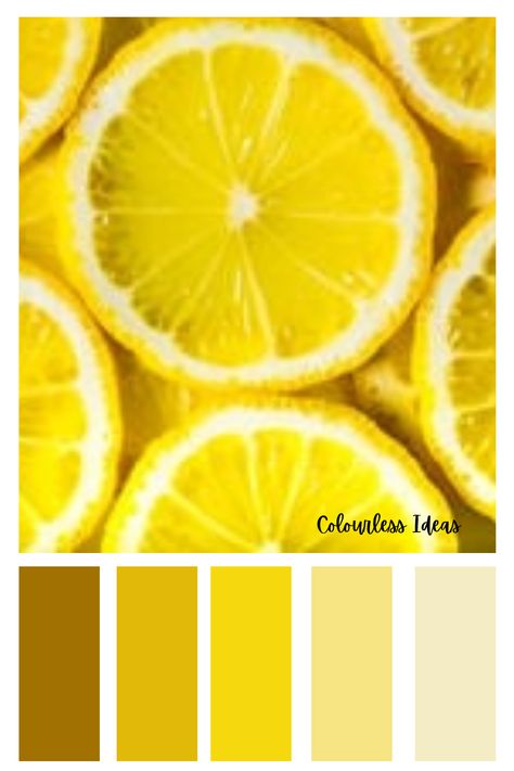 Lemon Colour Palette, Pantone Color Chart, Yellow Colour Scheme, Colour Board, Colour Combinations, Colour Palettes, Lemon Yellow, Color Pallets, Pantone Color