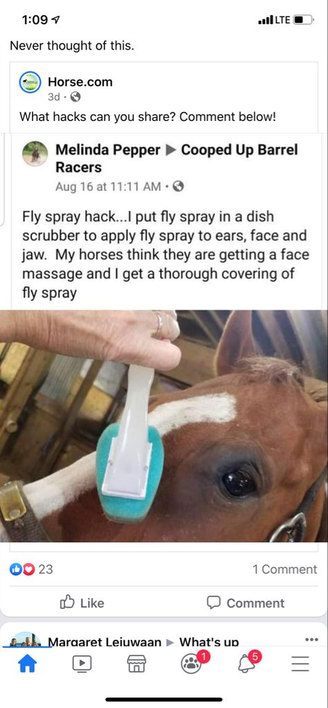 Horse Boarding Ideas, Horse Tips And Tricks, Horse Hacks Diy Ideas, Horse Barn Hacks, Horse Hacks, Horse Tack Diy, Horse Farm Ideas, Barn Hacks, Diy Horse Barn