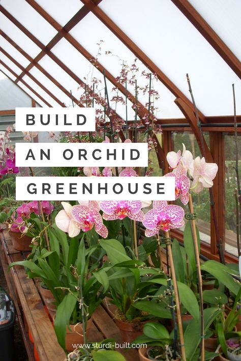 Orchid House Greenhouses, Orchid Greenhouse Ideas, Orchid House Ideas, Greenhouse Orchids, Bedroom Greenhouse, Art Projects For Kids Easy, Orchid Conservatory, Orchid Types, Kids Easy Crafts