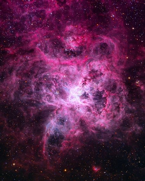 Can you name this beautiful nebula? —————————————————————————— 🌌Do you know the name of this  #nebula, which is located in the Large… Tarantula Nebula, Light Science, Faster Than Light, Helix Nebula, Astronomy Pictures, Giant Star, Star Formation, Cocoppa Wallpaper, Orion Nebula