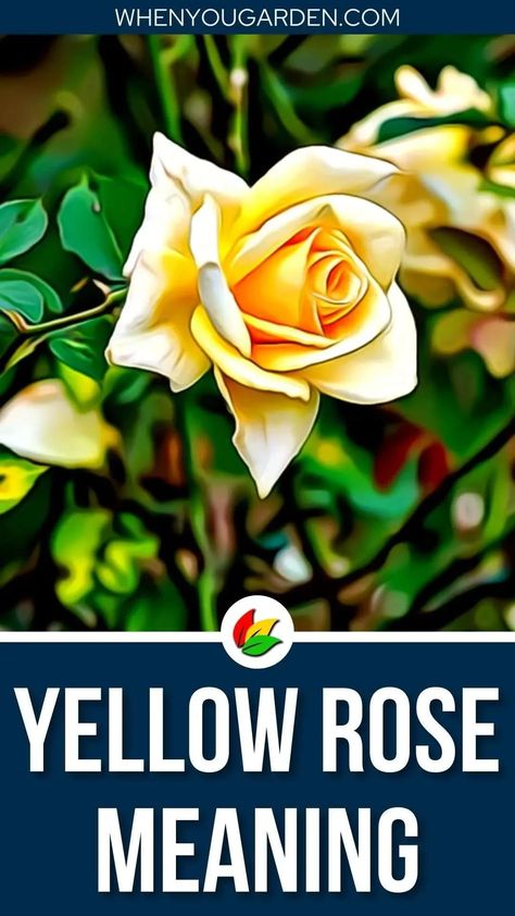 Yellow Rose Meaning, Yellow Climbing Rose, Yellow Rose Tattoo, Rose Magic, Asian Plants, Yellow Rose Tattoos, Rose Meaning, Rose Quotes, Heirloom Roses