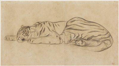 tiger lying down with eyes open Tiger Lying Down Drawing, Tiger Lying Down, Tiger Laying Down, Dead Tiger, Romantic School, Romanticism Artists, Eugène Delacroix, Tiger Drawing, Tiger Cub