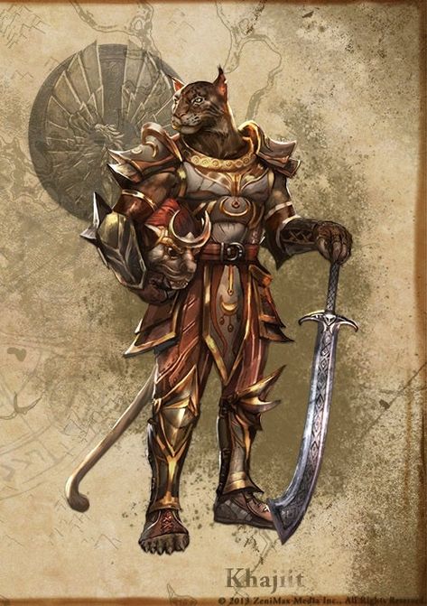 Hawk Feather, Plate Armor, Elder Scrolls Art, Elder Scrolls Skyrim, Elder Scrolls Online, The Elder Scrolls, Fantasy Races, Dungeons And Dragons Characters, Dnd Art