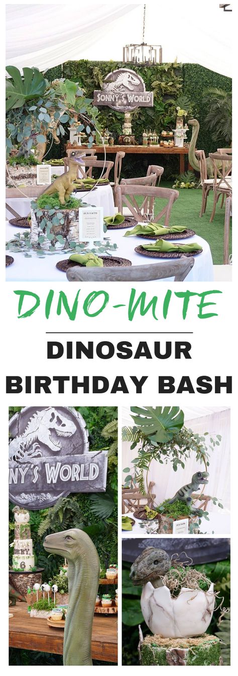 Fête Jurassic Park, Jurassic Park Birthday Party, Jurassic Park Party, Jurassic Park Birthday, Birthday Party At Park, Dinosaur Themed Birthday Party, Park Birthday, Dinosaur Theme Party, World Party