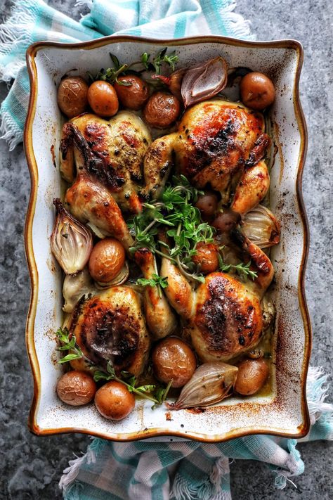 Moroccan Style Cornish Hens – SIMPLY BEAUTIFUL EATING Cornish Hen Recipe, Cornish Hen, Cornish Game Hen, Cornish Hens, Nigella Seeds, Ras El Hanout, Creole Recipes, Fresh Oregano, One Pan Meals