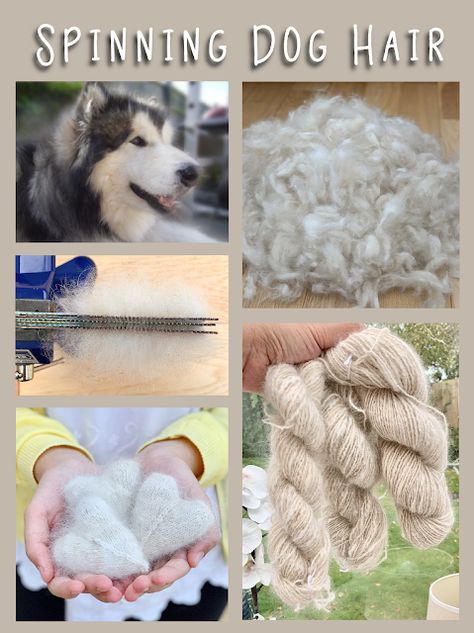 Preparing and spinning dog hair. An extremely detailed step by step tutorial on my process of learning to spin dog hair. Dog Hair Crafts, How To Spin Wool Into Yarn, How To Spin Yarn, Wool Processing, Spinning Yarn Fiber, Art Yarn Spinning, Hair Yarn, Yarn Spinning, Diy Wool