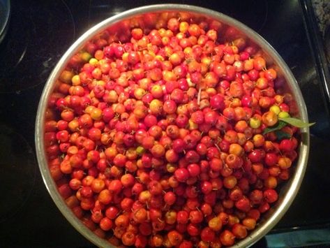 Mayhaw Jelly Recipe, Mayhaw Jelly, Canning Fruit, Berry Jam, Jelly Recipes, Meals In A Jar, Jams & Jellies, The Unexpected, Fruit Juice