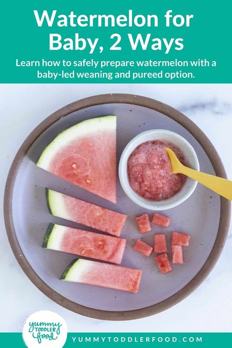 Freezing Watermelon, 8 Month Old Baby Food, Watermelon Snack, Watermelon Baby, Frozen Watermelon, Creamy Smoothies, Baby Puree, Cut Watermelon, Iron Rich Foods