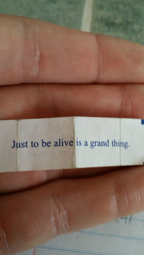 It's a great day to be alive! Quotes About Goodness, What A Time To Be Alive, Feeling Alive Quotes, Being Alive Quotes, Alive Aesthetic, Im Alive, Alive Quotes, Fur Elise, Feeling Alive