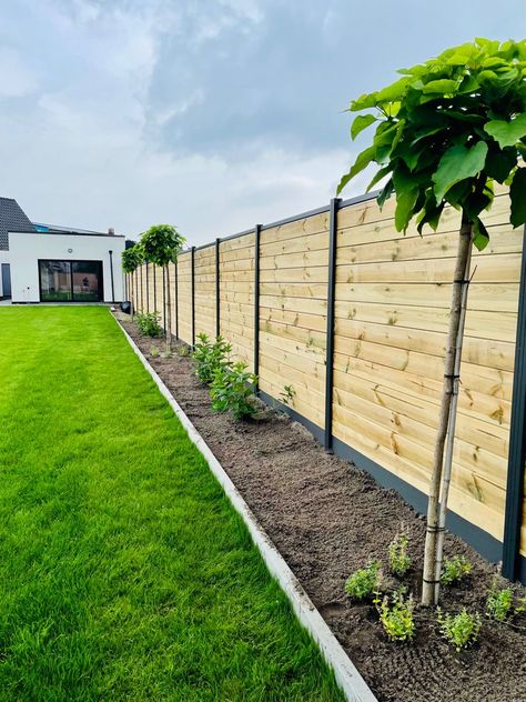 Fence Landscaping Ideas, Simple Fence, Catalpa Tree, Front Of House Landscaping, Catalpa Bignonioides, Simple Landscaping Ideas, Porch Fence, Simple Garden Designs, Garden Landscaping Backyard