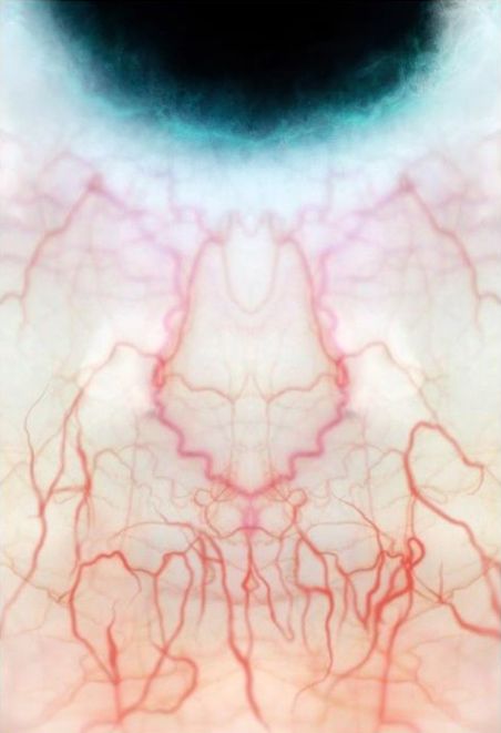 Blood vessels in the eye create a distinctive pattern Flesh Texture, Foto Macro, Human Eye, What’s Going On, Eye Drawing, Color Textures, An Eye, 그림 그리기, Textures Patterns