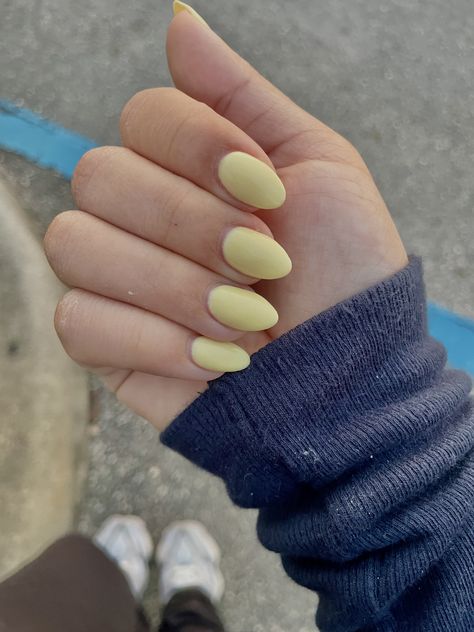 End of summer start of fall nails #almondnails Baby Yellow Nails, Start Of Fall, Fall Starts, Almond Shaped, Baby Yellow, Yellow Nails, Nail Color, Fall Nails, End Of Summer