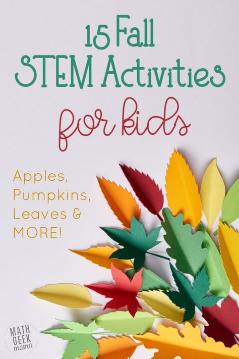 Fall Stem Activities For Kids, Estimation Activities, Fall Stem Activities, Maths In Nature, Fall Math Activities, Homeschool Stem, Stem Activities For Kids, Elementary Stem Activities, Fall Science