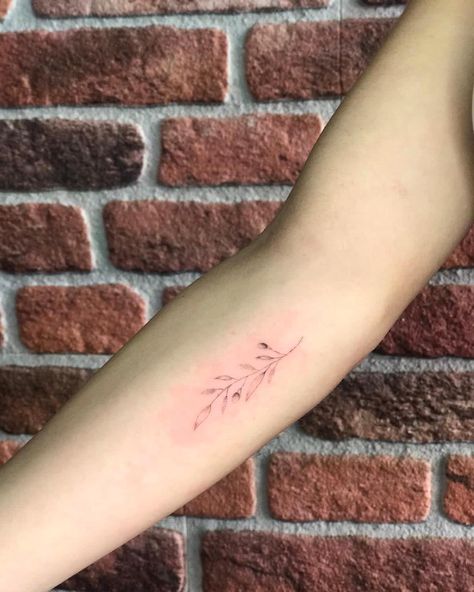 Red Olive Branch Tattoo, Forearm Olive Branch Tattoo, Delicate Olive Branch Tattoo Simple, Olive Branch Tattoo Placement, Fine Line Olive Branch Tattoo, Greece Tattoo, Hairdresser Tattoos, Olive Tattoo, Delicate Tattoos For Women