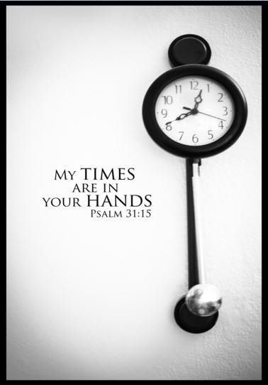 ❤Psalm 31:15❤ God's Timing Is Perfect, God's Timing, Psalm 31, Gods Timing, The Words, Word Of God, Beautiful Words, Christian Quotes, Gods Love