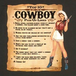 Cowboy pickup lines Country Pick Up Lines, Sweet Pick Up Lines, Pick Up Lines Tagalog, Pick Up Lines, Cowboy, Funny Quotes, Pick Up, Make It Yourself, Book Cover