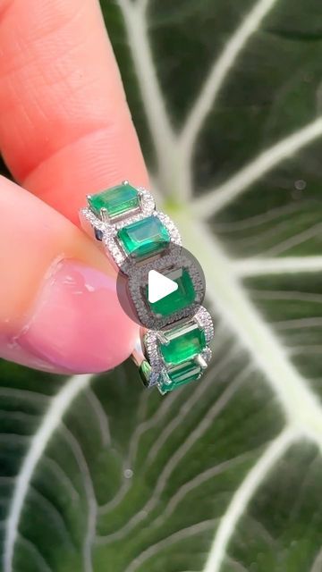 Le Vian Jewelry on Instagram: "When it comes to Costa Smeralda Emeralds, we believe that more is merrier. 💚

Shop this striking ring—featuring rectangle-cut emeralds, pristine Vanilla Diamonds, and timeless Le Vian Platinum. Link in our bio to make it yours.

#emerald #green #diamonds #platinum #platinumjewelry #jewelry #ring #luxury" Le Vian Jewelry, Green Diamonds, Costa Smeralda, Levian Jewelry, Ring Luxury, Le Vian, Platinum Jewelry, Jewelry Ring, Emerald Green