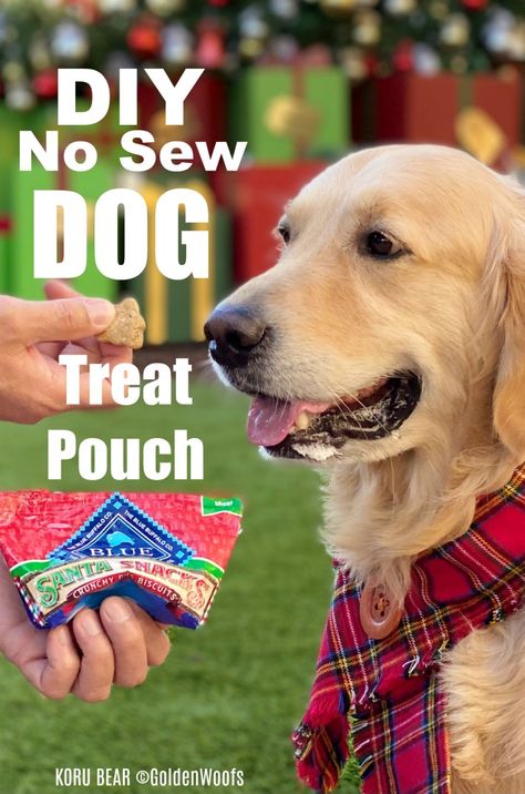 DIY No Sew Dog Treat Pouch Holiday Dog Treats, Puppy Training Treats, Santa Snacks, Dog Treat Bag, Service Dog Training, Dog Diy, Dog Treat Pouch, Dog Training Treats, Pouch Diy