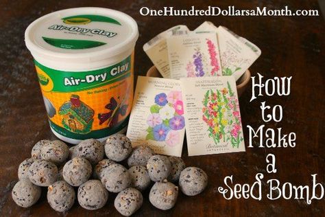 Seed bombs to teach the kids rogue gardening. Or to show how "life will find a way" Crayola Air Dry Clay, Timothy Green, Guerrilla Gardening, Seed Balls, Garden Kids, Daisy Girl Scouts, Colorful Outfits, Theme Nature, School Garden