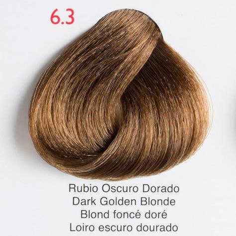 Rubio Chocolate, Dark Golden Blonde Hair, Golden Hair Color, Dark Golden Blonde, Peinados Hair Styles, Dark Ash Blonde, Dark Blonde Hair Color, Beauty Hair Color, Hair Tint