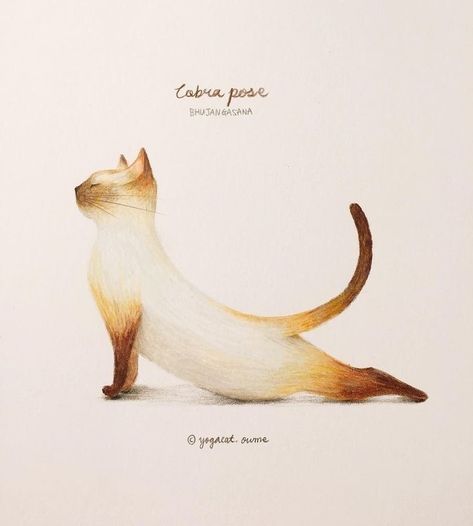 Yoga Cat Illustration, Yoga Inspiration Art, Yoga Animals, Yoga Cartoon, Yoga Inspiration Photos, Yoga Drawing, Yoga Cat, Arte Yoga, Yoga Symbols